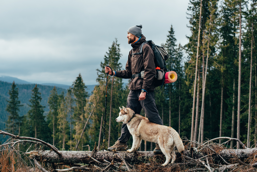 hiker with a dog