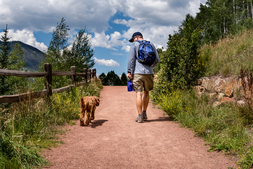 tips for hiking with puppy